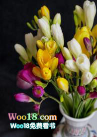 С�n�m�����飩